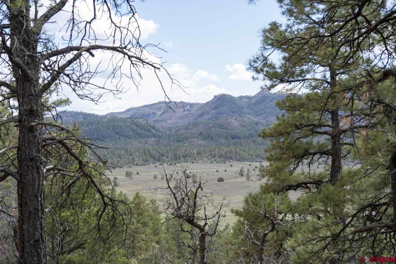974 Westview Road, Pagosa Springs Real Estate