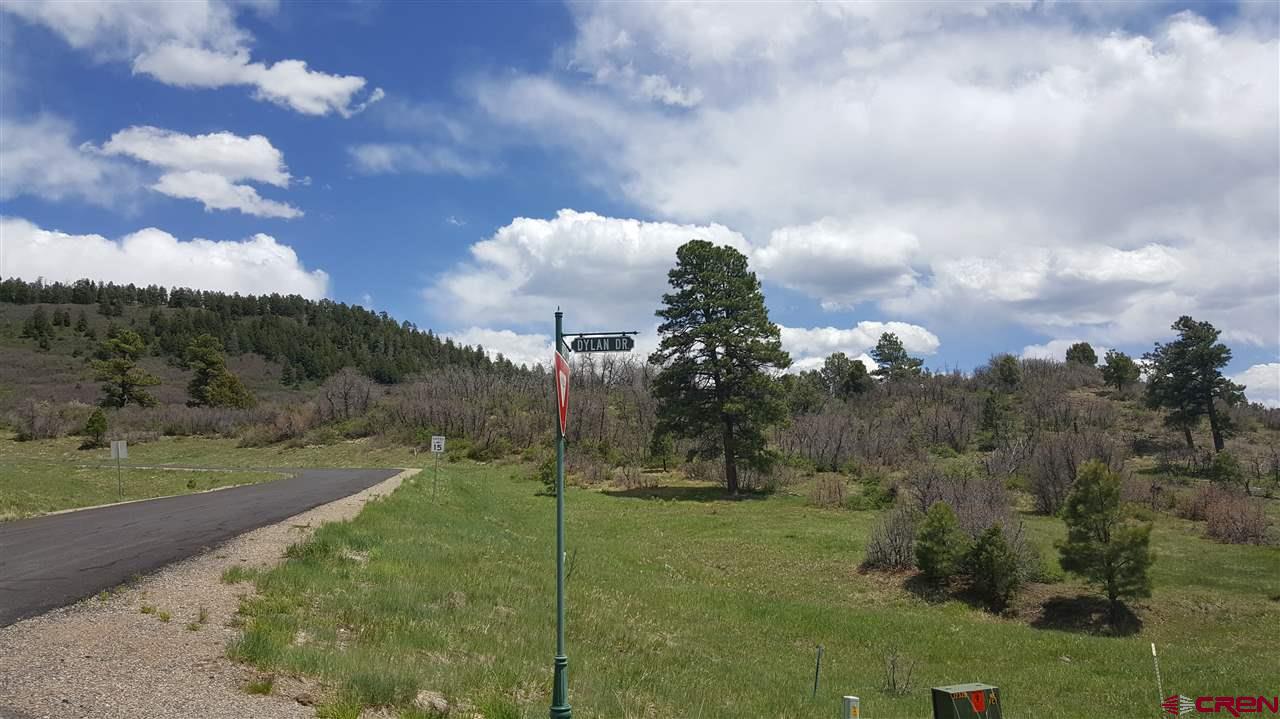 84 Dylan Drive, Pagosa Springs Real Estate