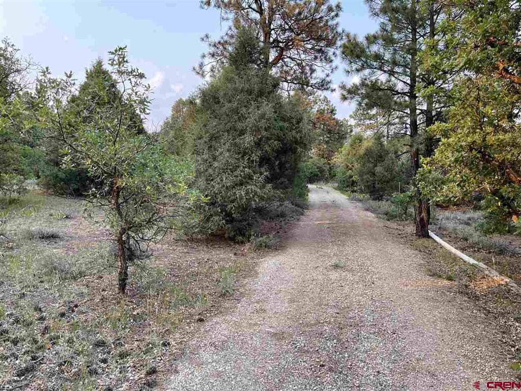 473 Justin's Road, Pagosa Springs Real Estate