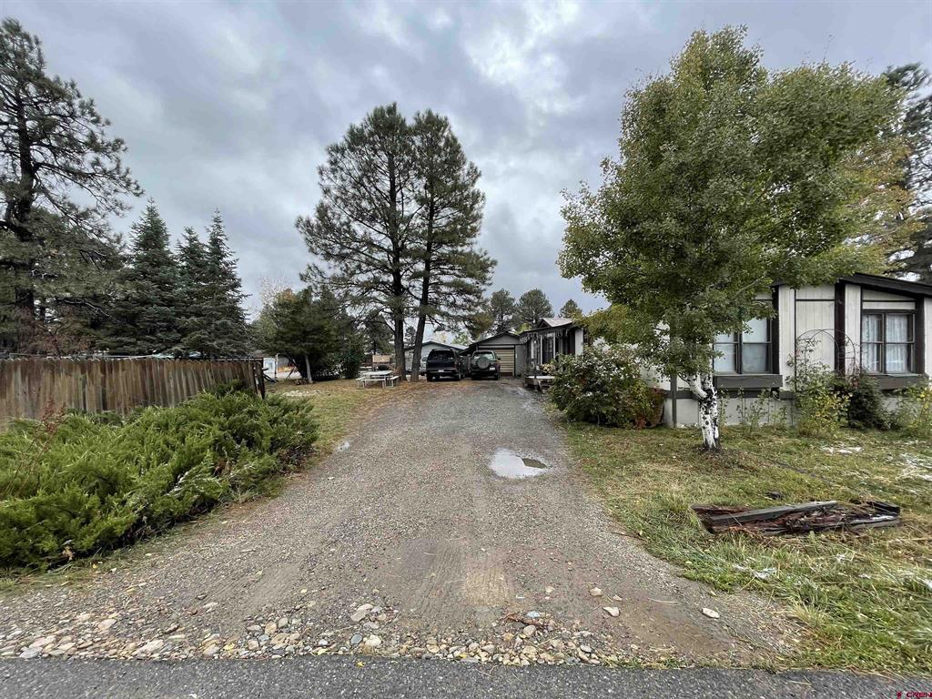288 Bonanza Avenue, Pagosa Springs Real Estate