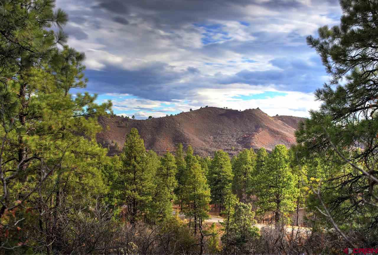 175 Cabin Creek Drive Durango Co Real Estate For Sale