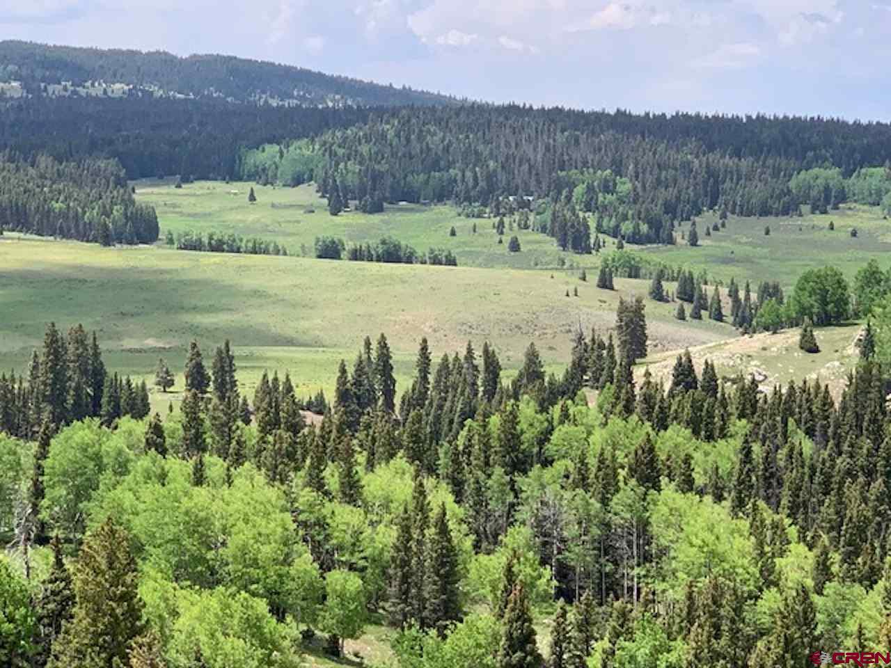 TBA State Forest Road 93 Tres Piedras NM Real Estate