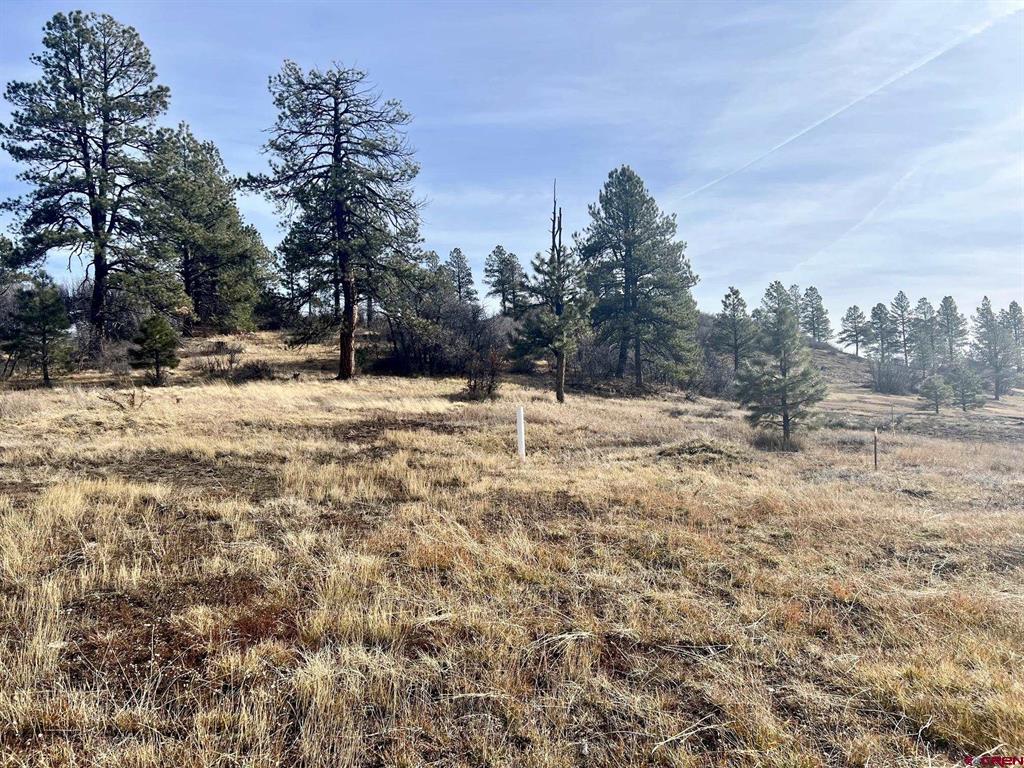 83 Overlook Court Pagosa Springs CO Real Estate