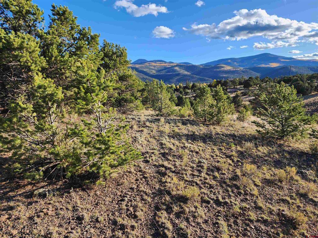 TBD ORONDOA RD South Fork CO Real Estate